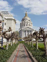 San Francisco City Hall through the trees in the Court Yard