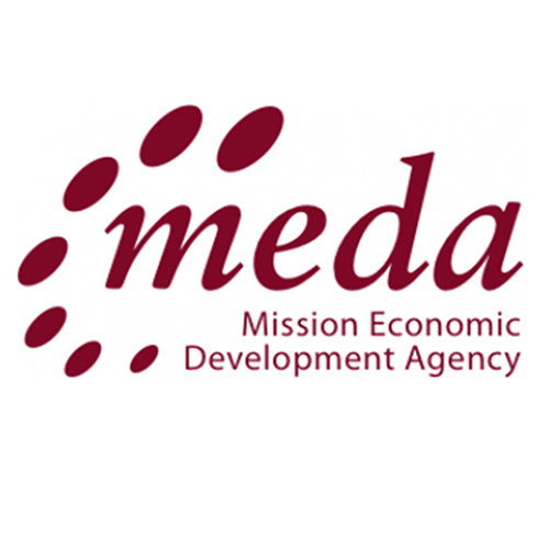 Meda Logo