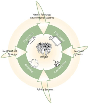 The Food System