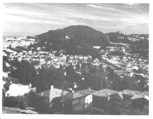 photo of low-rise buildings around a hilltop park