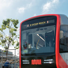 Muni and MTA Info